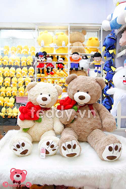 Teddy Ôm Hoa