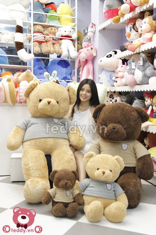 Gấu Teddy Head & Tales