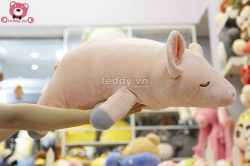 Lợn Hồng Mềm