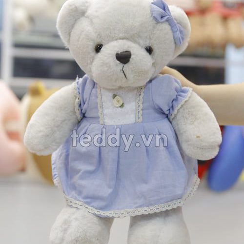 Gấu Bông Teddy Nhỏ