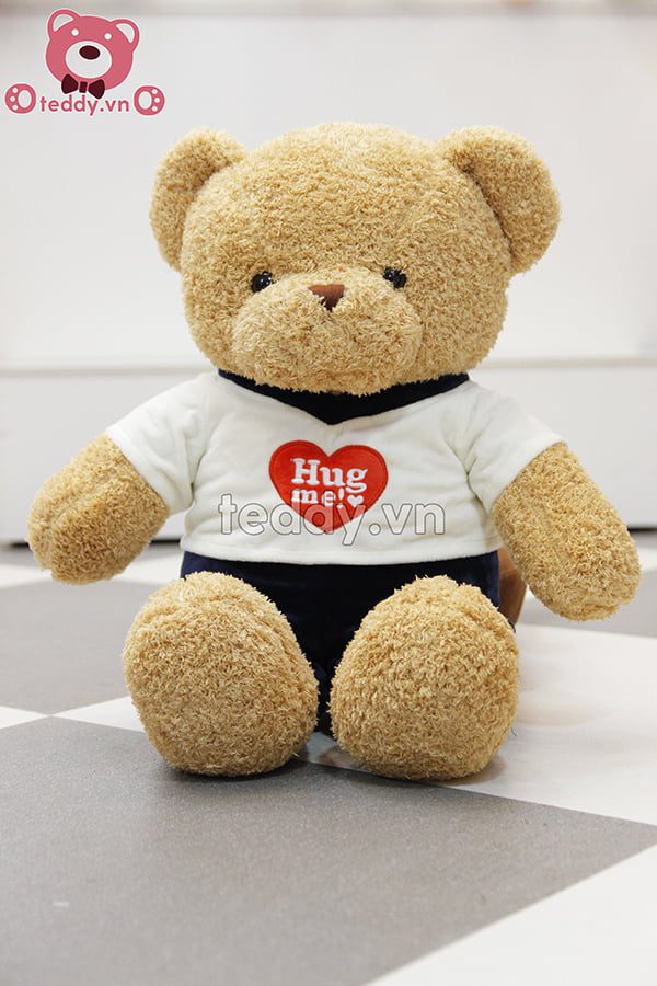 Teddy Hug Me Đôi Nhỏ