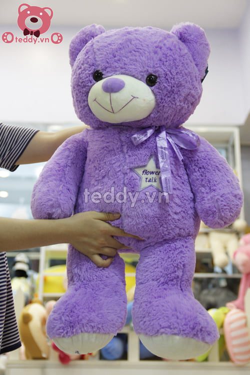 Teddy Lavender