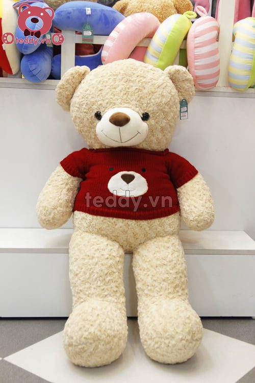 Teddy Len Mặt Gấu