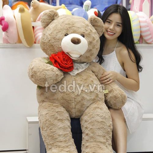Gấu teddy ôm hoa