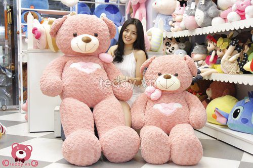 Gấu teddy angel hồng