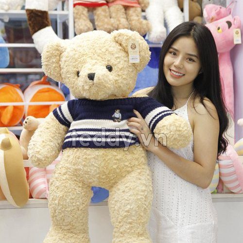 Teddy áo gấu teddy