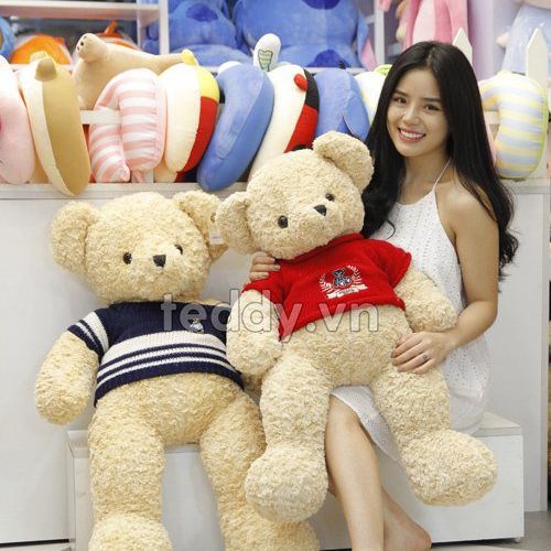 Gấu teddy áo gấu teddy