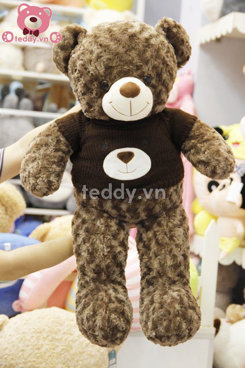 Teddy len mặt gấu