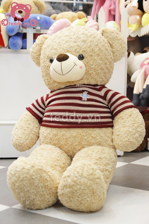Gấu teddy logo baby