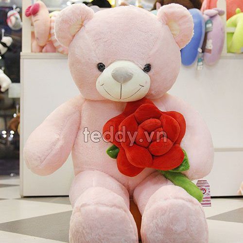 Gấu teddy ôm hoa hồng