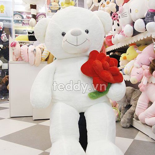 Gấu teddy ôm hoa hồng