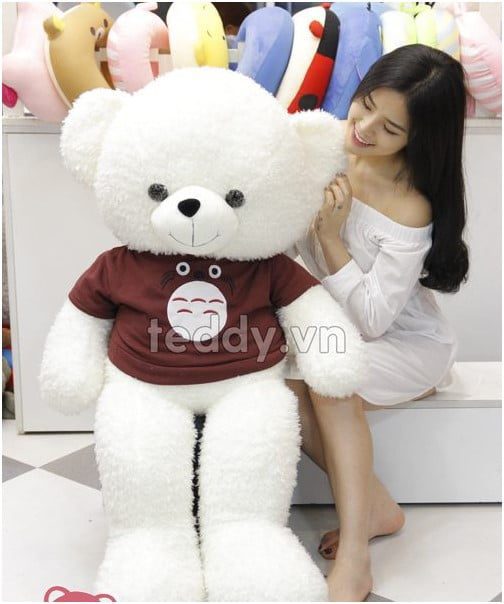 Gấu bông áo Totoro cao 1m4 tại Teddy.vn