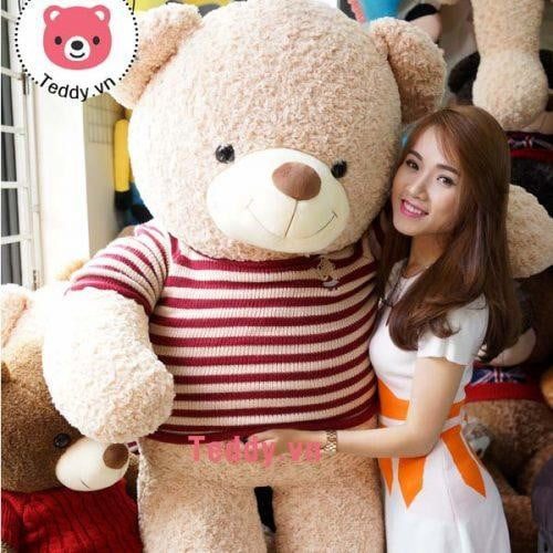 Chú gấu bông cao 2m teddy logo baby