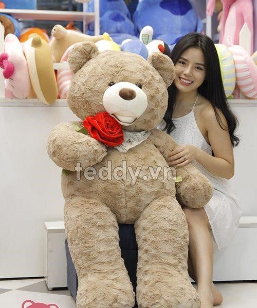 Gấu bông Teddy bự ôm hoa