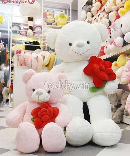 gấu bông teddy ôm hoa