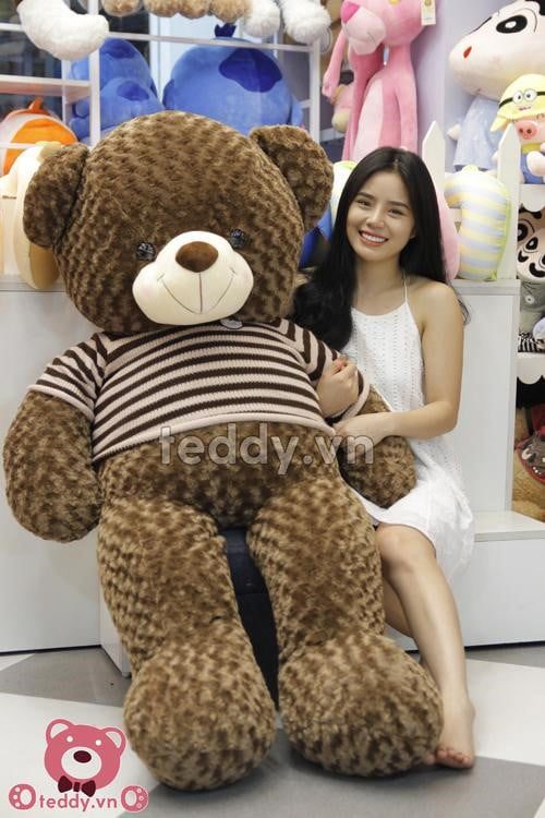 Gấu bông teddy socola khổng lồ