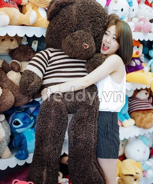 Gấu Teddy đen xù