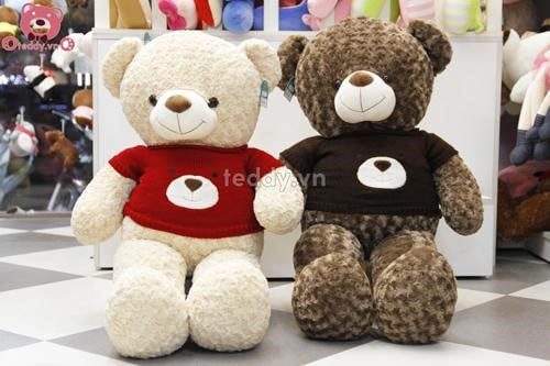 Hai màu sắc của Teddy mặt gấu với giá bình dân cho bạn lựa chọn