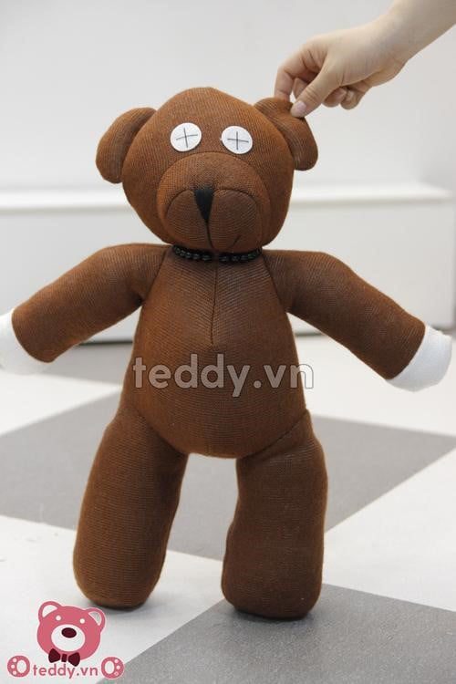 Hình ảnh mẫu gấu teddy Mr. Ben