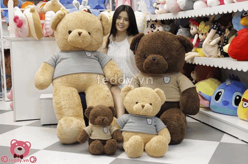 Shop gấu cao cấp- Teddy.vn