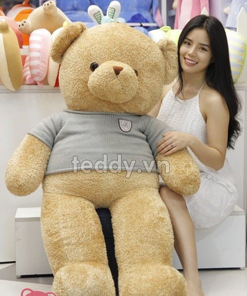 Shop gấu teddy đẹp, giá mềm - Teddy.vn