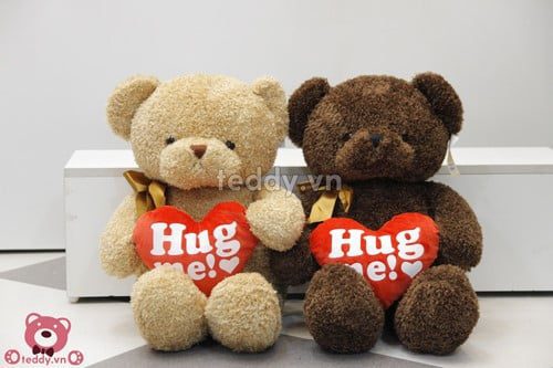 Teddy ôm tim hug me đôi 80cm