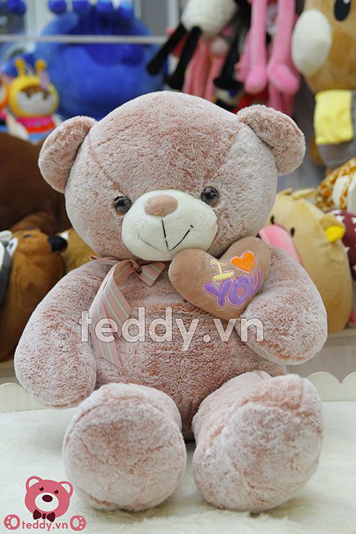 Cận cảnh một chú gấu Teddy tim lệch