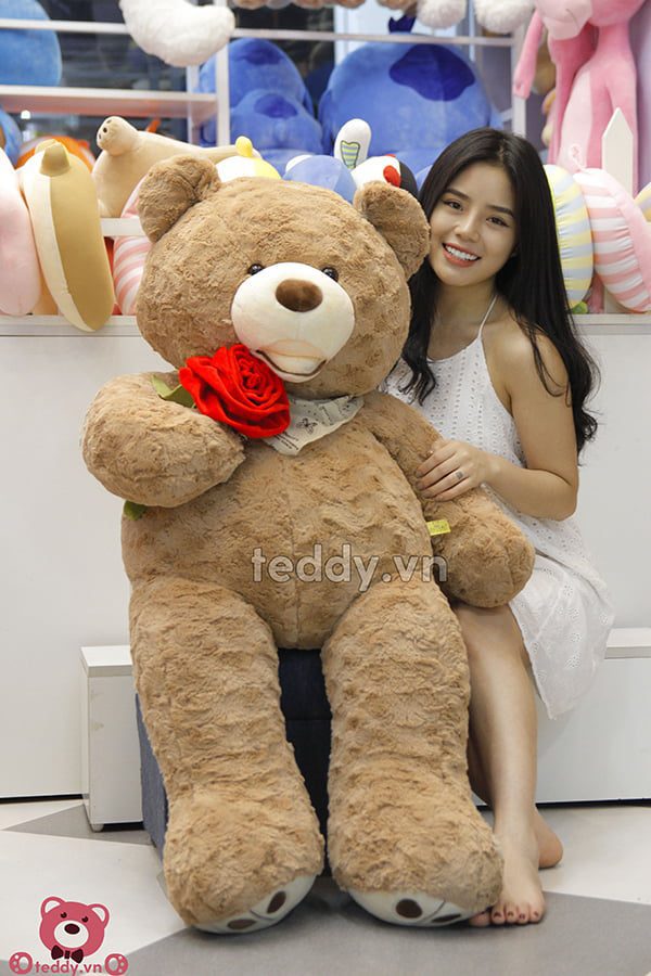 Gấu Teddy Ôm Hoa
