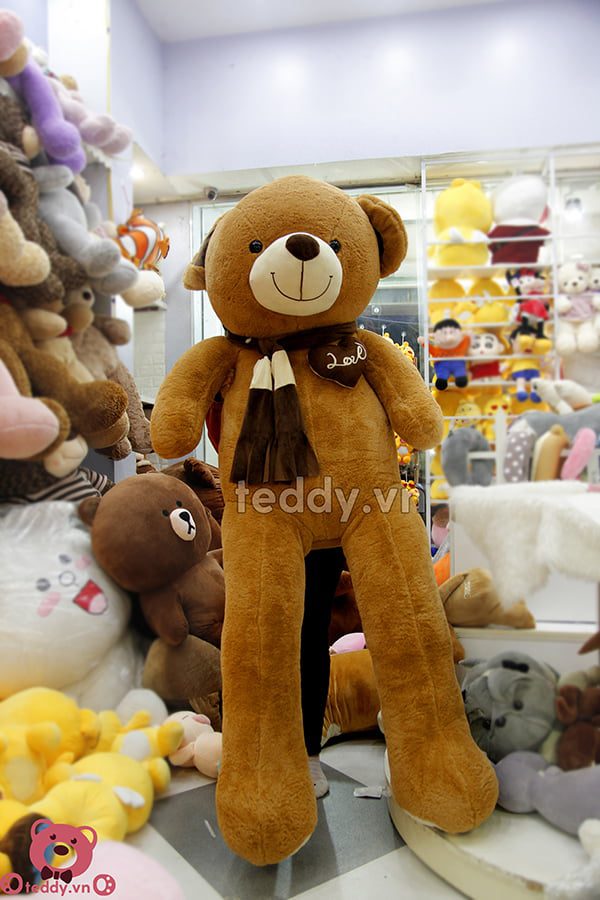 Gấu Bông Teddy Khăn Tim Màu