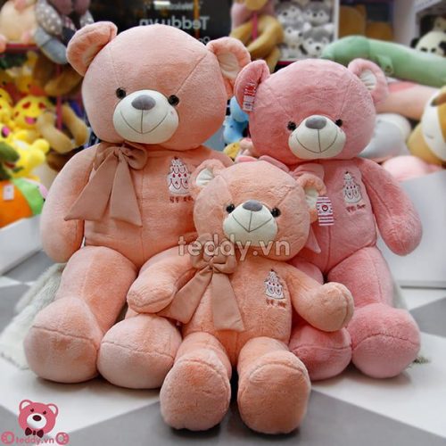 Teddy Sinh Nhật