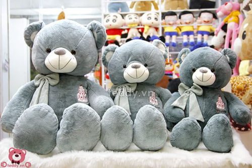 Teddy Sinh Nhật