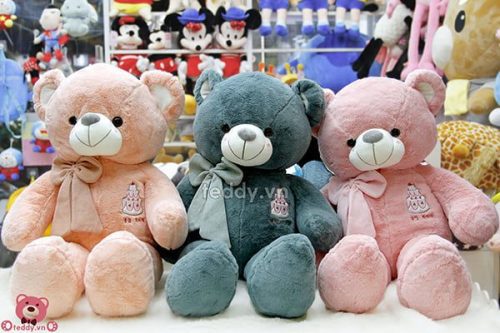 Teddy Sinh Nhật