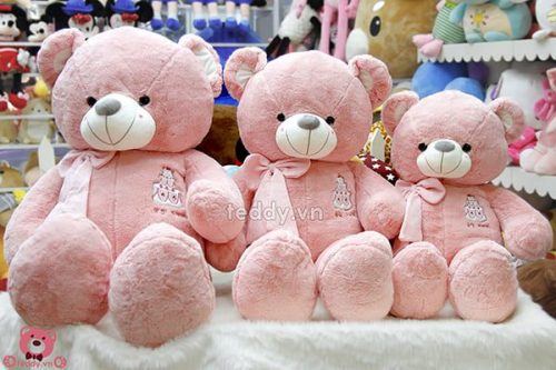 Teddy Sinh Nhật