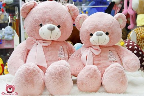 Teddy Sinh Nhật