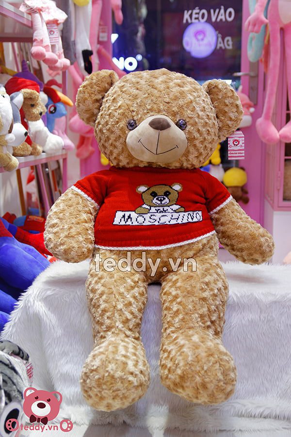 Gấu Bông Teddy Áo Moschino