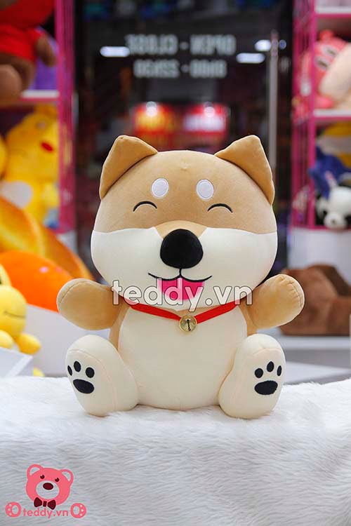 Chó Shiba Chuông Bông