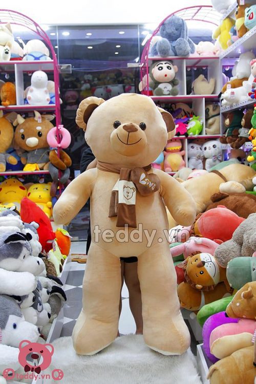 Gấu Bông Teddy Khăn Tim Mịn