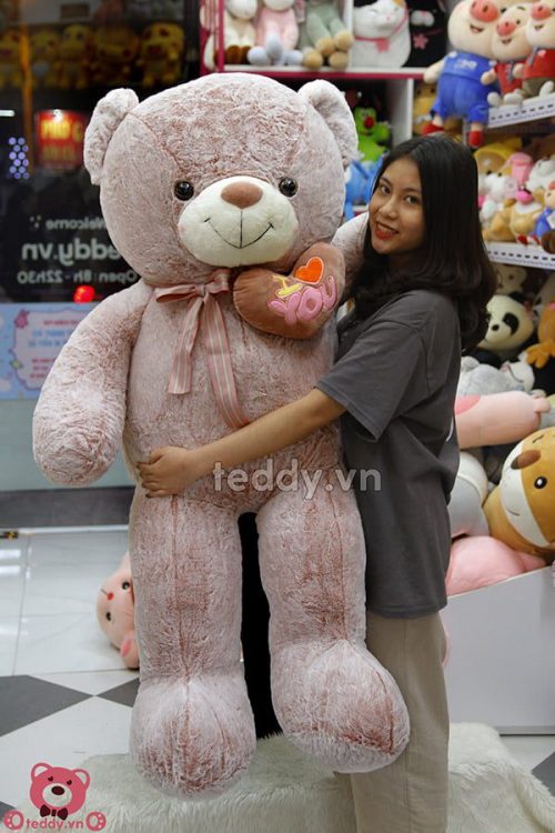 Teddy Ôm Tim Lệch