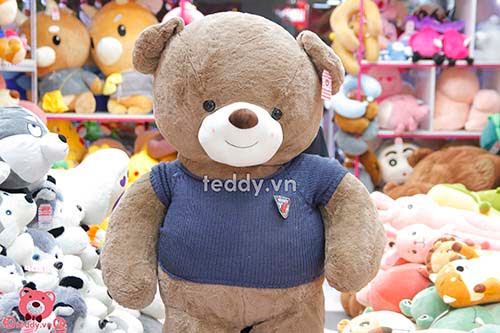 Teddy Nhung Áo Len Đại 1m6