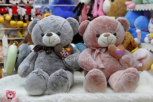 Teddy Ôm Tim Lệch