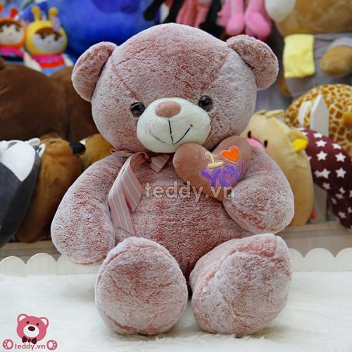 Teddy Ôm Tim Lệch