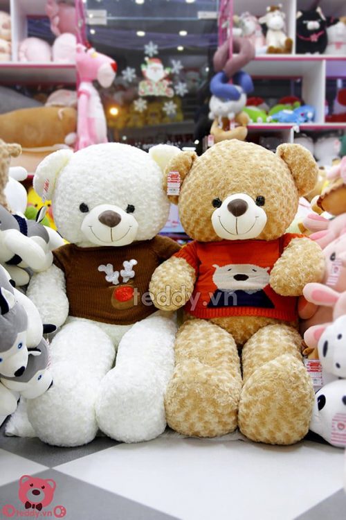 Gấu Bông Teddy Lông Xoắn Áo Len