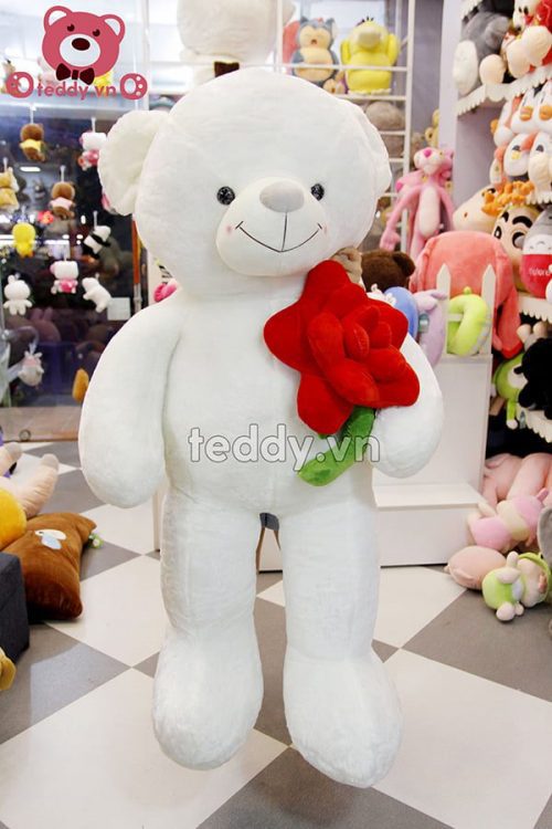 Gấu bông Teddy Ôm Hoa Hồng