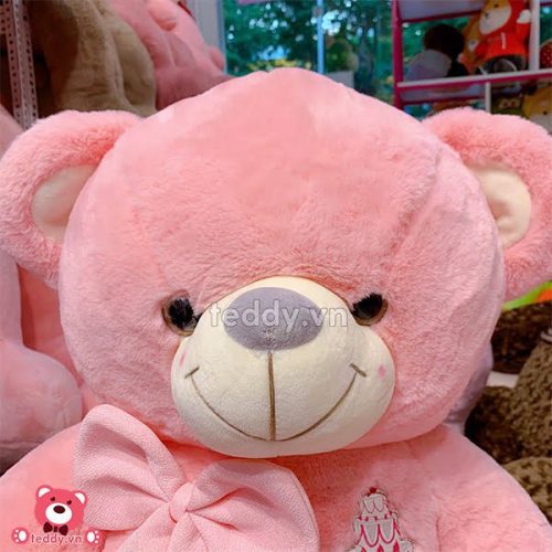 Teddy Sinh Nhật