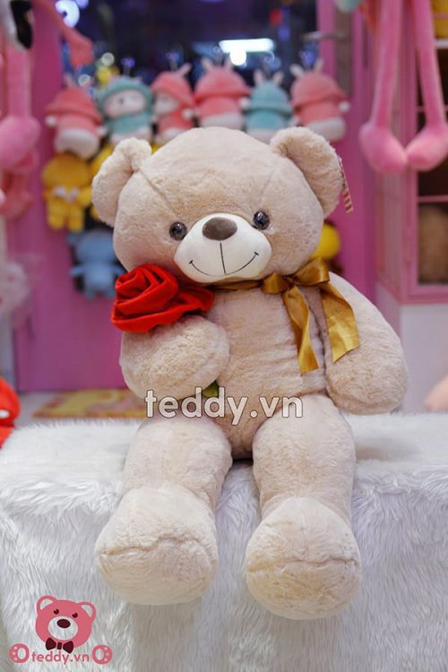 Gấu Bông Teddy Ôm Hoa Hồng