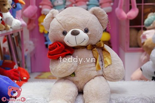 Gấu Bông Teddy Ôm Hoa Hồng