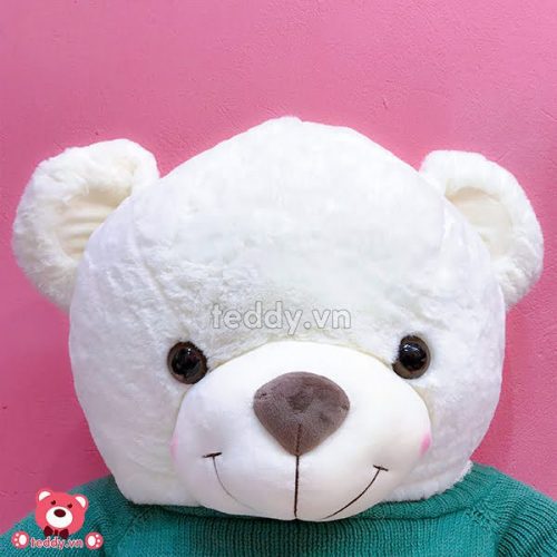 Gấu Teddy Áo Len