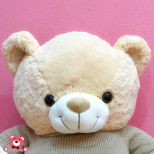 Gấu Teddy Áo Len
