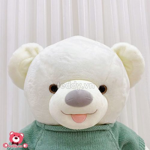 Gấu Bông Teddy Lông Trơn Áo Kiss