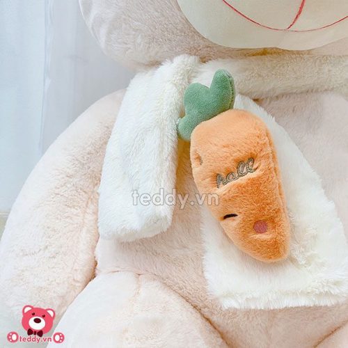 Gấu Bông Teddy Khăn Cà Rốt